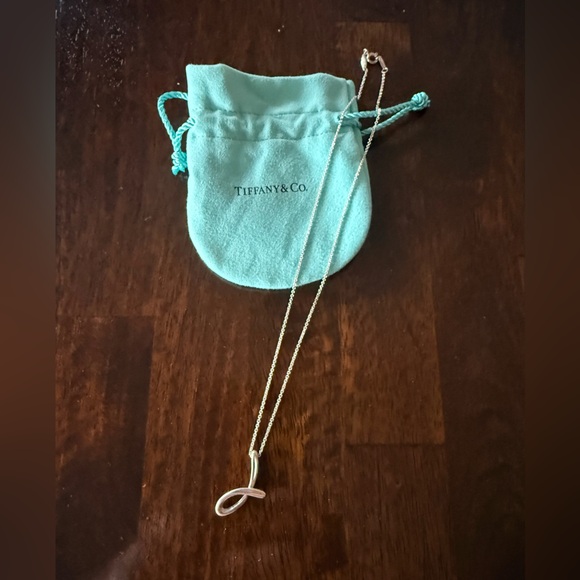 Tiffany & Co. Silver Necklace with Aqua Pouch - Picture 1 of 1